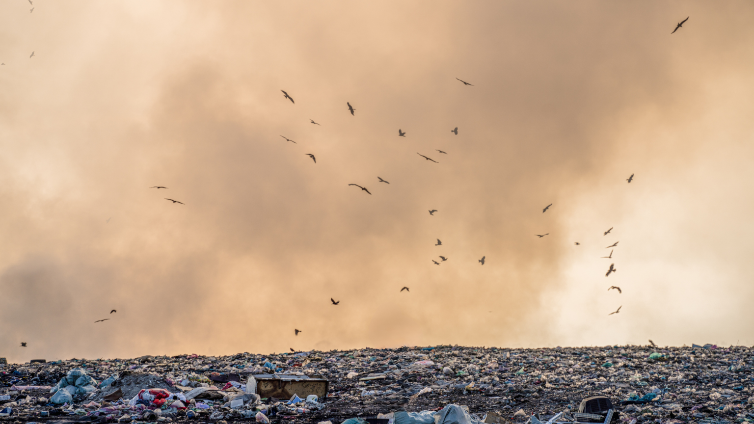 SA SKIPS WASTE MANAGEMENT SERVICES